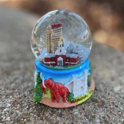 Waco Snowglobe